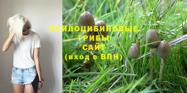 прущий лед Богородск