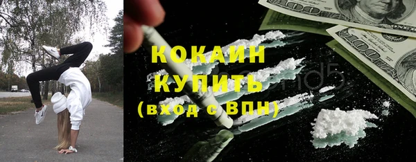 твердый Богданович