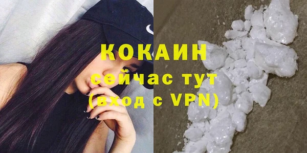 трава Богородицк
