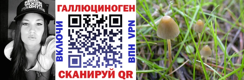 Псилоцибиновые грибы мицелий хочу Улан-Удэ