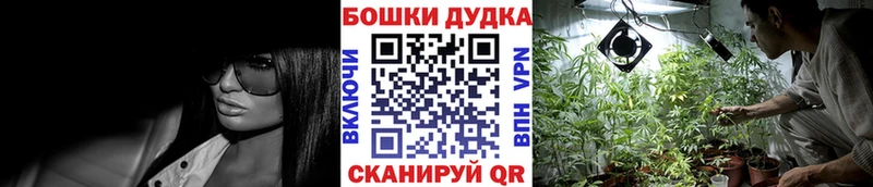 Канабис OG Kush  Улан-Удэ 